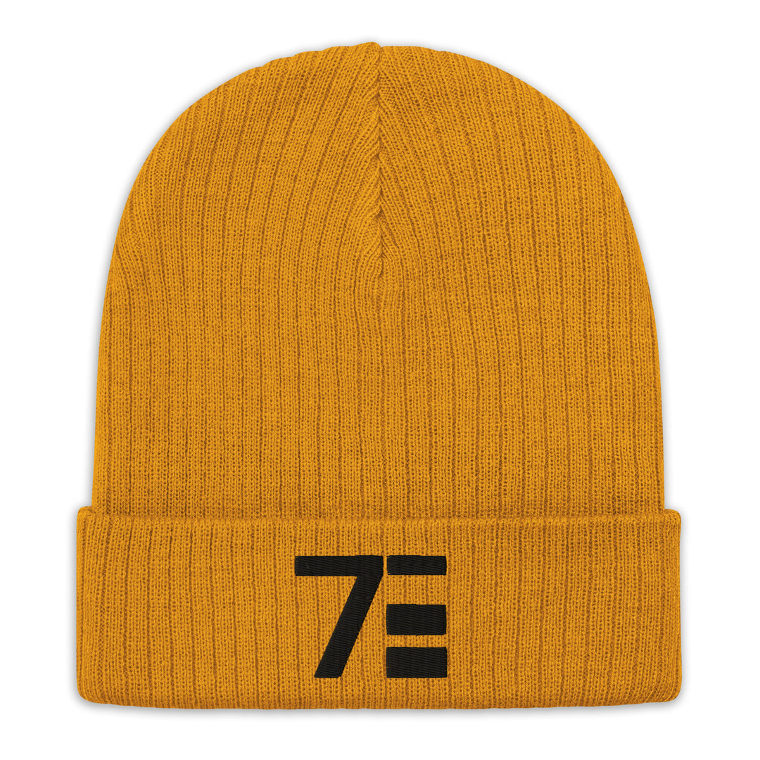 Logo Pride Ribbed Knit Beanie